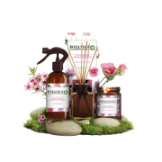 BOTANICA by Air Wick exotická ruža a africká pelargónia, osviežovač vzduchu 237 ml