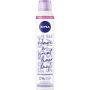 Nivea Fresh Revive 3v1, suchý šampón pre stredné tóny vlasov Fresh & Sensitive 200 ml