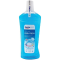 DentaMax ústna voda Cool Fresh 1 l