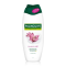 PALMOLIVE Naturals Orchid & Milk, sprchový gél 500 ml