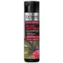 Dr. Santé Black Castor Oil posilňujúci šampón 250 ml