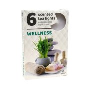 Admit čajové sviečky Wellness 6 ks