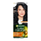 GARNIER Color Naturals 2.10 modročierna 1ks