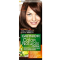 GARNIER Color Naturals tmavá ľadová mahagónová 4.15, 1 ks