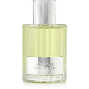 Tom Ford Signature Beau de Jour parfumovaná voda pánska 100 ml