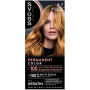 Syoss Color farba na vlasy 8-7 Medový blond 50 ml