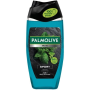 PALMOLIVE Men Revitalising Sport, sprchový gél a šampón 3v1, 250 ml