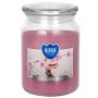 Spa Garden Maxi sviečka v skle s viečkom 500 g