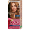 GARNIER Color Sensation Farba na vlasy - HL1 gaštanová blond