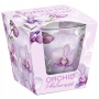 SVIECKA sklo Orchidea 115g