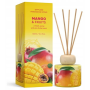 BARTEK Difuzor 100ml MANGO