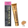 Dermacol Make up Cover, make-up č. 224, 30 g