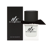 Burberry Mr. Burberry toaletná voda pánska 50 ml