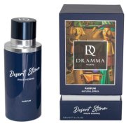 RD Drama Desert Storm parfumovaná voda pánska 100 ml