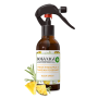 BOTANICA by Air Wick svieži ananás a tuniský rozmarín, osviežovač vzduchu 237 ml