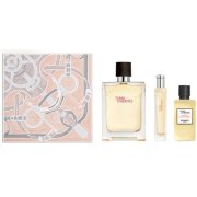 HERMÈS Terre d'Hermès toaletná voda 100 ml + sprchový gél 40 ml + Edt 15 ml SET (M)