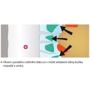 ETERNAL IN steril, biela disperzná maliarska farba 1kg