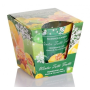 BARTEK Winter Tutti Frutti, vonná sviečka 115 g