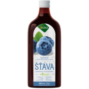 LEROS ŠŤAVA z čučoriedky + 5 bylín 500 ml