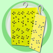BioStop Plus lepová pasca na muchy, 2ks/bal