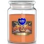 Bispol Halloween Maxi sviečka v skle s viečkom 500 g