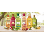 Garnier Botanic Therapy Ricinus Oil & Almond šampón 250 ml