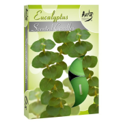 Voňavé sviečky, Scented Candles Eucalyptus, 6ks