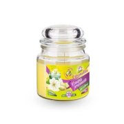 Citronella repelentná sviečka v skle 120 g