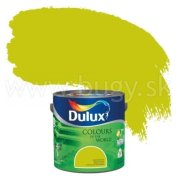Dulux Colours Of The World, zelené terasy 2,5 l